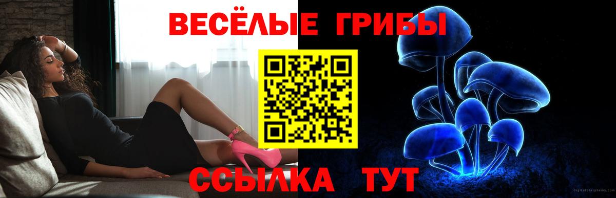 Псилоцибиновые грибы мицелий  Вход с VPN  Дзержинский 