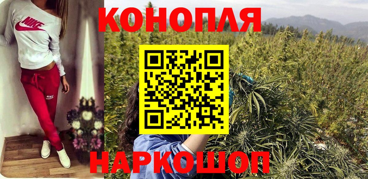 Бошки марихуана OG Kush Дзержинский